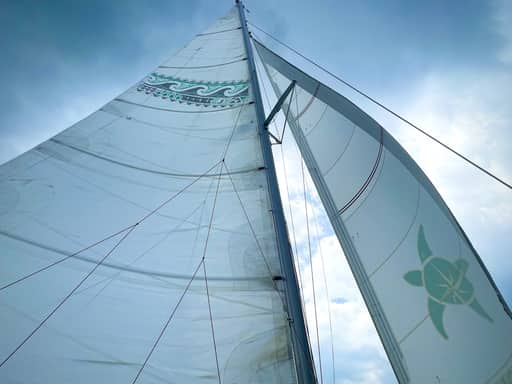 Propulsion & Sailing photo 22 of 32